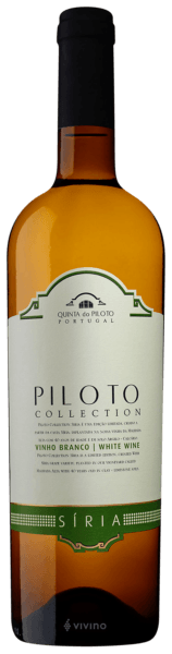 Piloto Collection Síria Branco