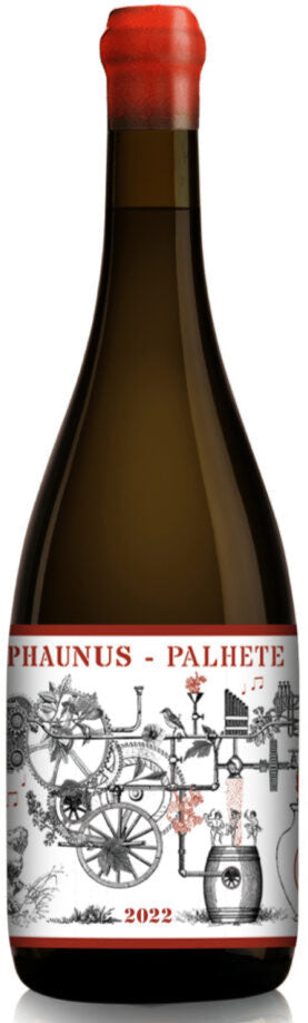 Aphros Phaunus Amphora Palhete